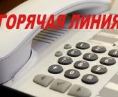 Телефонная горячая линия связи с избирателями