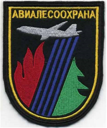 Для тушения пожаров прибывает группировка ФБУ «Авиалесоохрана»