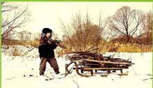 Заготовка и сбор валежника для собственных нужд