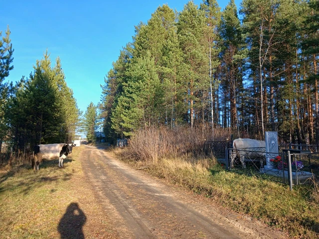 Устройство ограждения территории кладбища в мкр. Колобовщина (до)
