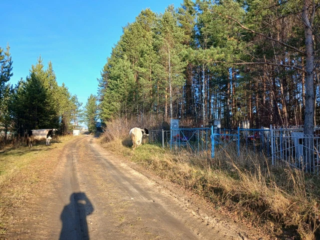 Устройство ограждения территории кладбища в мкр. Колобовщина (до)