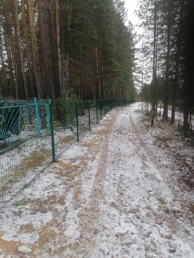 Устройство ограждения территории кладбища в мкр. Колобовщина (после)